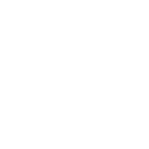 mini1